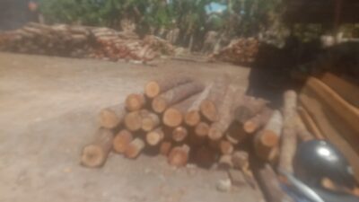 Afong pemilik usaha penampung kayu menghalangi tugas wartawan saat dikonfirmasi