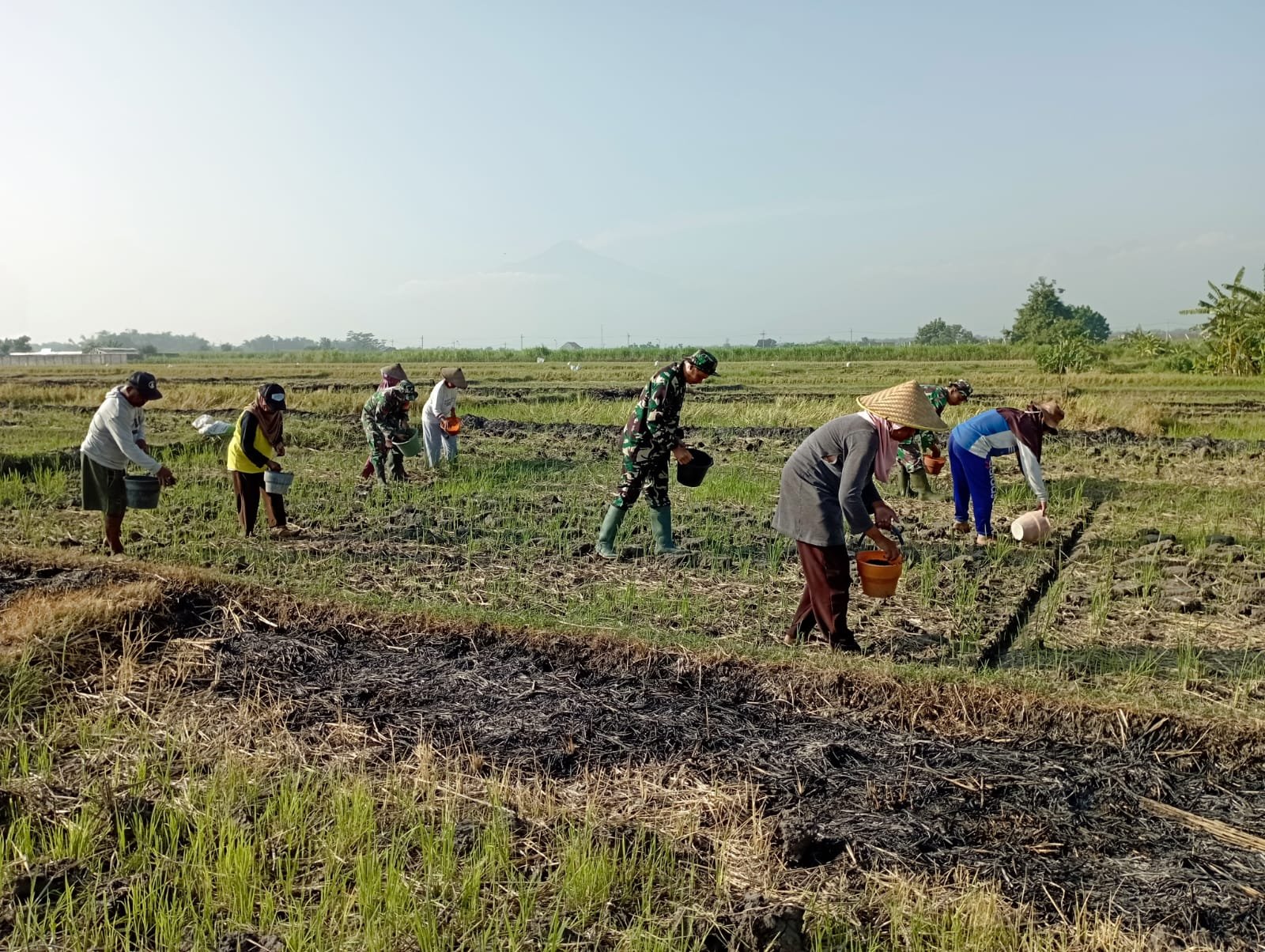 Ketahanan Pangan Koramil 0815/04 Puri Bareng Poktan Tanam Jagung
