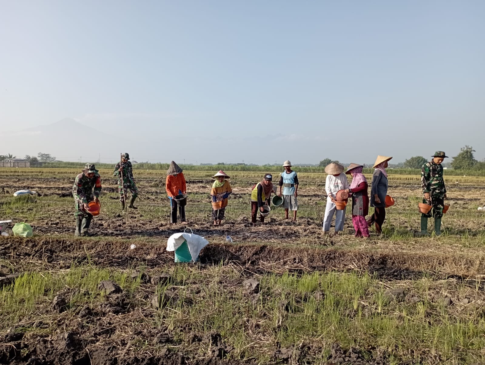 Ketahanan Pangan Koramil 0815/04 Puri Bareng Poktan Tanam Jagung
