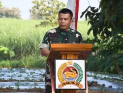 Tanam 4000 Bibit Cabe, Danrem 082/CPYJ : Komitmen TNI Berkontribusi Wujudkan Hanpangan Nasional