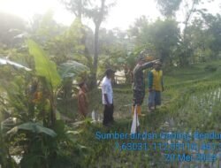 Danramil 0815/16 Pacet Bareng Distan & Poktan Survey Sumber Air Pompanisasi