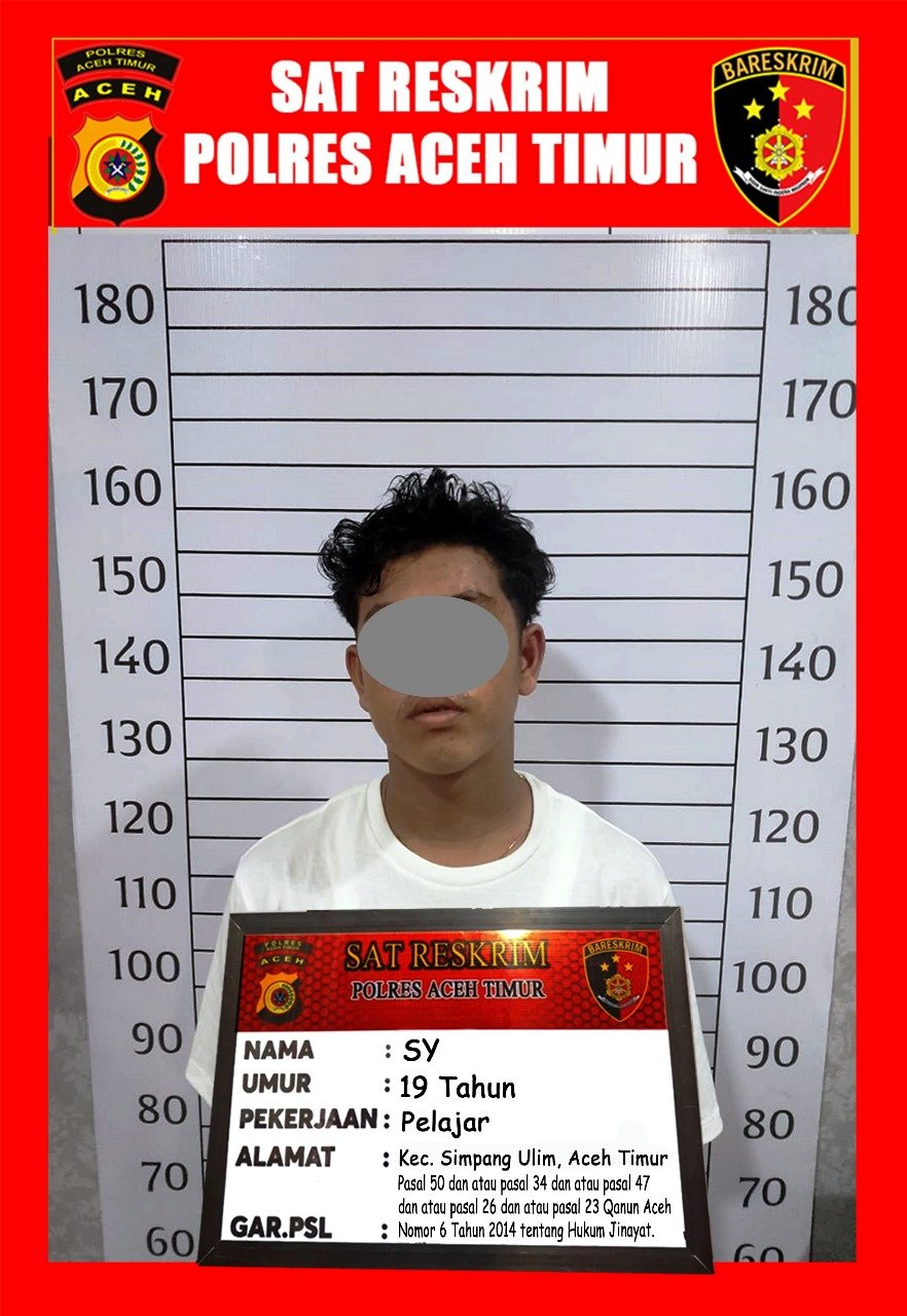 Satreskrim Polres Aceh Timur Amankan 2 Pelaku Pencabulan