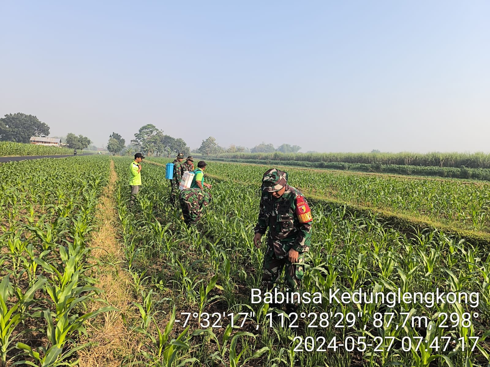 Dukung Ketahanan Pangan, Babinsa Koramil 0815/14 Dlanggu Kompak Bantu Petani Semprot Tanaman Jagung
