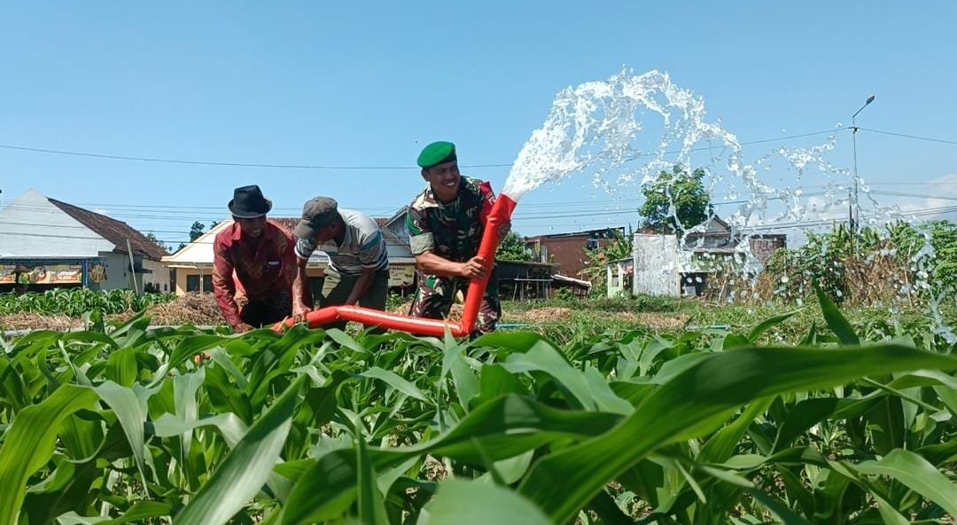 Pompa Air Brigade Alsintan Alirkan Air di Lahan Jagung, Ketua Poktan Tani Makmur : Terima Kasih Bapak Menteri Pertanian Dan Bapak TNI