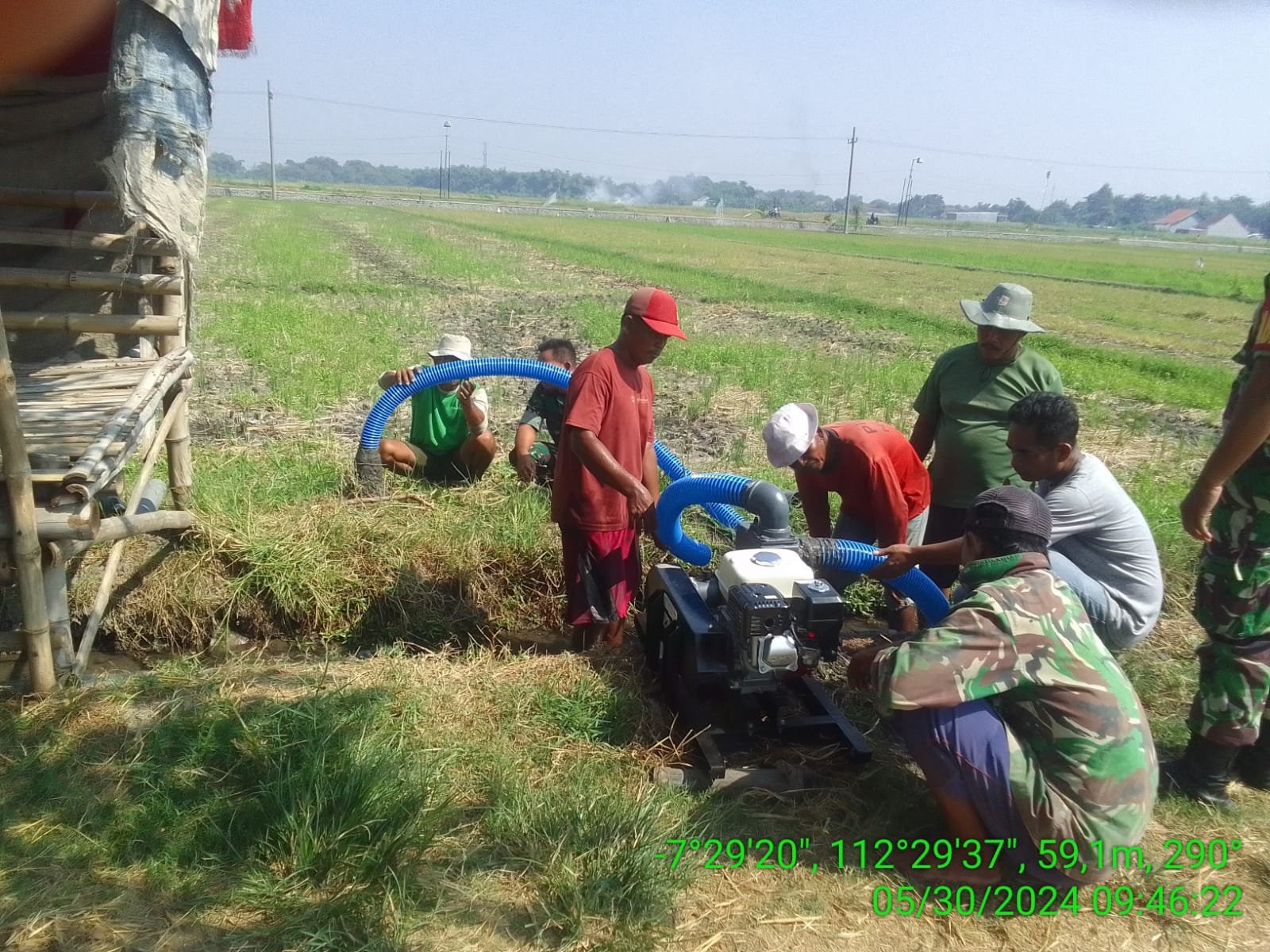 Gotong Royong Babinsa Bareng Poktan, Berdayakan Pompa Air Brigade Alsintan Airi Persawahan Mojoanyar