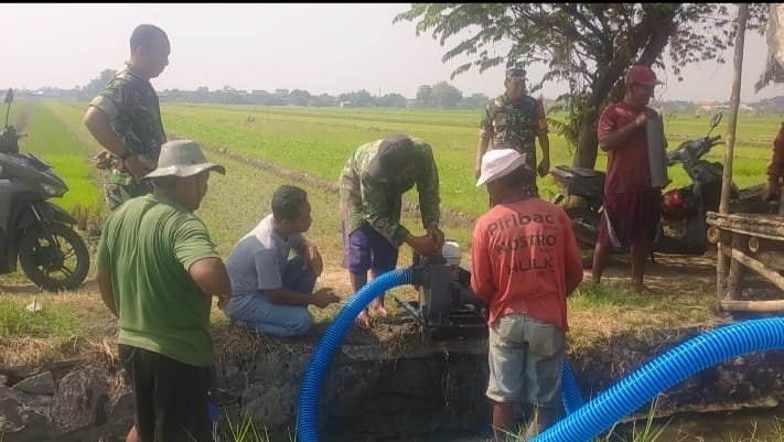 Gotong Royong Babinsa Bareng Poktan, Berdayakan Pompa Air Brigade Alsintan Airi Persawahan Mojoanyar