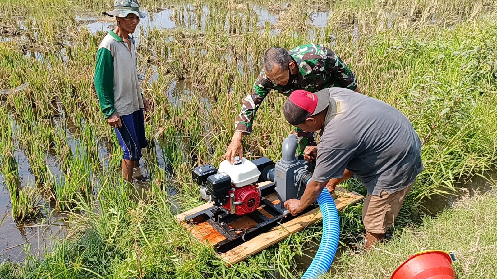 Brigade Alsintan Pompa Air Koramil 0815/11 pungging Langsung Beroperasi Alirkan Air Di Persawahan