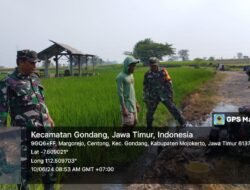 Pompa Air Brigade Alsintan Koramil 0815/18 Gondang Airi Persawahan