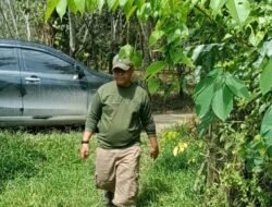 TMPLHK Indonesia Ingatkan Kewajiban Konservasi Sempadan Sungai Dalam HGU Perkebunan Sawit