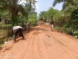 Tak kunjung Ada Perbaikan, Pemdes Peninjauan Perbaiki Jalan Pemda Secara Swadaya