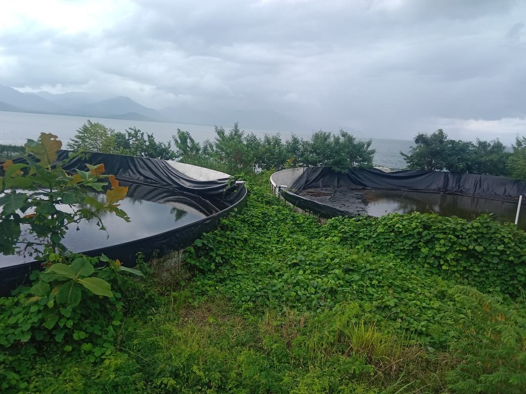 APH Didesak Usut Proyek Tambak Udang di Halsel Rp 3,5 miliiar, Ini Pernyataan Kepala DKP Malut