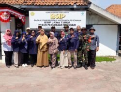 BSIP Jatim Bareng Koramil 0815/09 Panen Raya Di Kebun Percobaan (KP) Mojosari