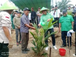 Bupati Batang Hari Hadiri Tanam Perdana Tanamkan Kelapa Sawit Program PSR Di Desa Bukit Harapan