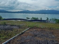 Dalam Waktu Dekat Tambak Udang Vaname di Babang Akan Difungsikan, ini Kendalanya