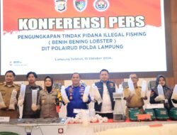 Luar Biasa,DitPolairud Polda Lampung Ungkap Penyeludupan 149.400 Ekor BBL dan Selamatkan Kerugian Negara Rp37,3 M
