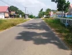 20 Tahun Jalan Desa Sumber Sari Rimbo Ulu Rusak Berat, Baru Diaspal Oleh Pj Bupati Tebo Aspan