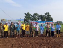 Dukung Swasembada Pangan, Kapolsek Dlanggu Bareng Forkopimca dan Gapoktan Olah Lahan Tidur Jadi Lahan Jagung