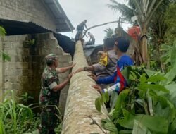 Bhabinkamtibmas Bersama Warga dan Babinsa Bantu Evakuasi Pohon Tumbang di Kota Agung Timur