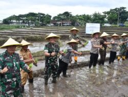 Dukung Program Asta Cita Presiden RI, TNI-Polri Bersama PT Wilmar – Gapoktan & Petani Tanam Padi Serentak