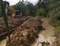 Alat Berat Excavator Melintas Mengakibatkan Jalan Rusak Parah di Desa Pulau panjang Kabupaten Tebo