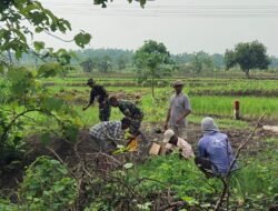 Tingkatkan Ketahanan Wilayah Dari Ancaman Bencana, Koramil 0815/08 Dawarblandong dan Forkopimcam Tanam 225 Pohon