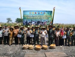 Menuju Target Swasembada Pangan, Kodim 0815/Mojokerto Bareng Kementan, Polri & Pemda Panen Raya Jagung