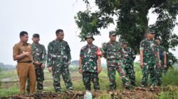 Tinjau Lokasi Penanaman Padi, Dandim 0815/Mojokerto Beri Dukungan Penuh Peningkatan Produktivitas Hanpangan