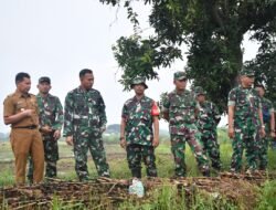 Tinjau Lokasi Penanaman Padi, Dandim 0815/Mojokerto Beri Dukungan Penuh Peningkatan Produktivitas Hanpangan