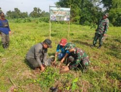 Tingkatkan Kepedulian Lingkungan, Koramil 0815/02 Trowulan Bareng KPH Jombang dan Pemdes Pakis Tanam 250 Pohon