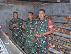 Dandim 0815/Mojokerto Tinjau Usaha Budidaya Ayam Petelur Anggota Koramil 0815/16 Pacet