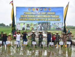 Dukung Swasembada Pangan, Korem 082/CPYJ Gelar Penanaman Padi Unggul di Mojokerto