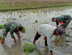 Babinsa Koramil 0815/05 Gedeg Dampingi Petani Tanam Padi Wujudkan Ketahanan Pangan Wilayah