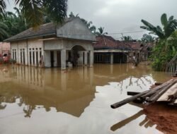 Banjir Rendam Puluhan Rumah Warga Desa Peninjauan, Warga Butuh Bantuan Dan Perhatian Pemkab