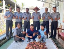 Kalapas Kelas IIA Kalianda Pimpin Langsung Panen Ubi