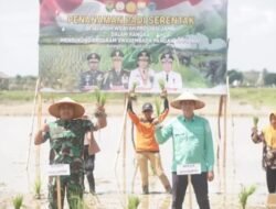 Bupati Batanghari Hadiri Tanam Perdana Padi Sawah Di kecamatan Memayug