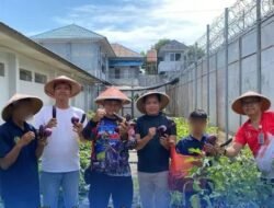 Rutan Kelas IIB KotaBumi Sukses Melaksanakan Panen Raya Terong Sebagai Upaya Ketahanan Pangan