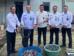 Dukung Program Menteri Imigrasi Dan Pemasyarakatan, Lapas Narkotika Bandar Lampung Sukses Panen Ikan Lele