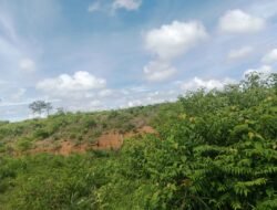 Warga Pertanyakan Legalitas Lahan HTR Di Wilayah Desa Peninjauan Yang Diduga Dikuasai Para Mafia Tanah