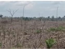 Warga Pertanyakan Legalitas Lahan HTR Di Wilayah Desa Peninjauan Yang Diduga Dikuasai Para Mafia Tanah