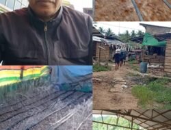 Diduga Ilegal, Pengusaha PETI di Desa Kusubibi Kabupaten Halsel Terus Beraktivitas