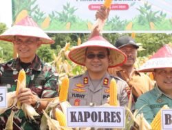 Kapolres Batang Hari Hadiri Panen Raya Jagung Kuartal II Bersama Presiden dan Kelompok Tani Melalui Zoom Meeting