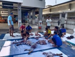 Pelaksanaan Shalat Idul Adha 1446 H dan Penyembelihan Hewan Qurban di Rutan Kelas IIB Kota Agung