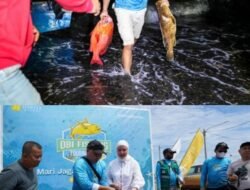 Obi Fishing Tournament 2025: Tangkapan Ikan Melimpah, Produktivitas Perairan Kawasi Terjaga
