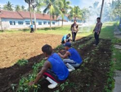 Penanaman Ubi Cilembu di Lapas Kotaagung, Wujud Nyata 13 Program Akselerasi IMIPAS