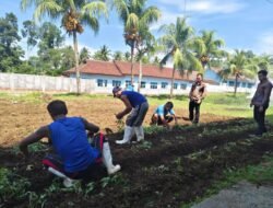 Penanaman Ubi Cilembu di Lapas Kotaagung, Wujud Nyata 13 Program Akselerasi IMIPAS