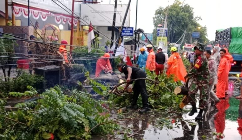 Sinergi TNI, BPBD, dan Warga Atasi Pohon Tumbang di Mojosari