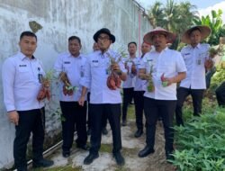 Panen Ubi Mantang di Lapas Kelas IIA Kalianda, Bukti Konsisten Wujudkan Program Ketahanan Pangan