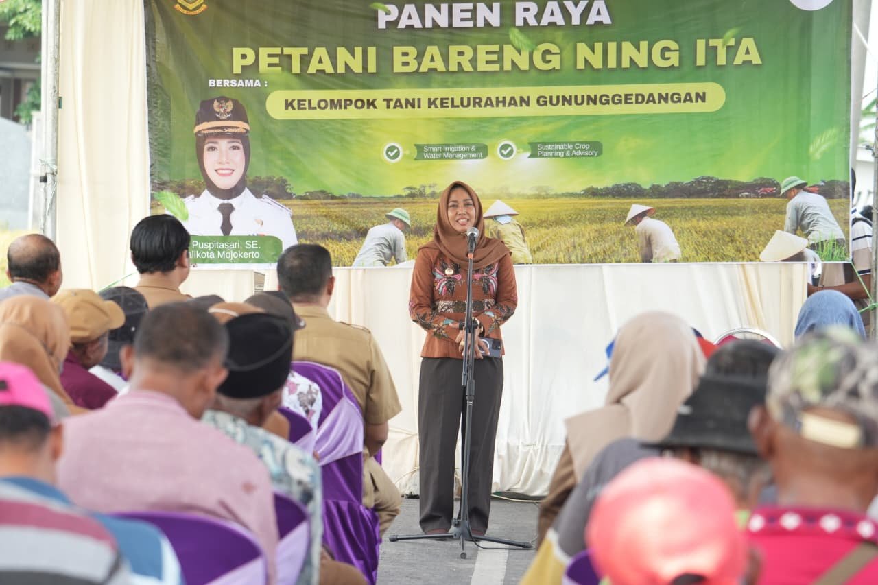 Panen Raya Padi di Kelurahan Gunung Gedangan, Wali Kota Mojokerto Turun Sawah Gunakan Combine Harvester