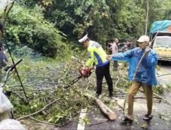 Gerak Cepat Bersama Masyarakat, Sat Lantas Polres Tanggamus Bersihkan Pohon Tumbang di Batu Kramat