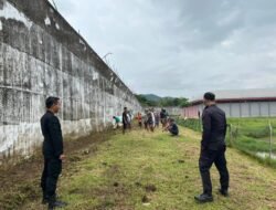 Wujudkan Lapas Bersih dan Aman, WBP Lapas Dharmasraya Gotong Royong Bersihkan Brandgang